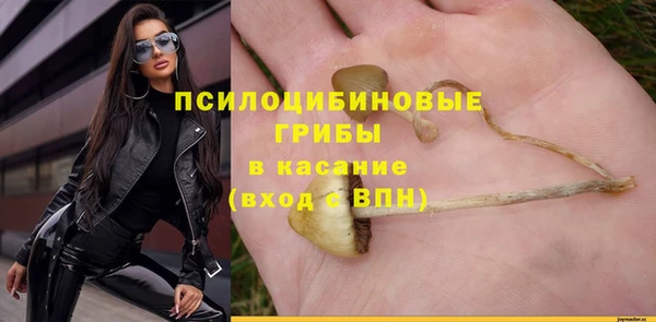 тгк Бронницы