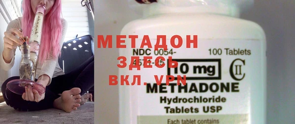 прущие грибы Бородино