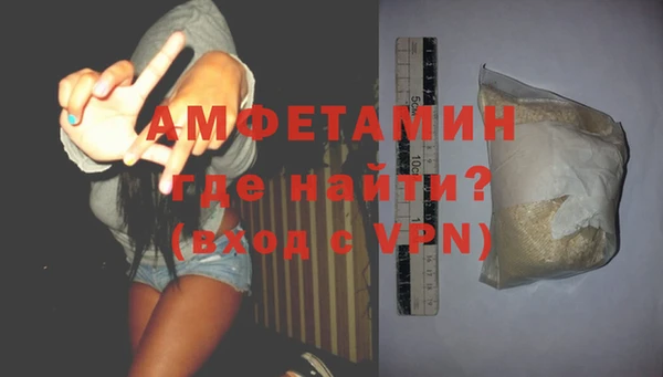 прущие грибы Бородино