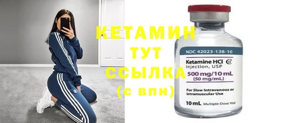 прущие грибы Бородино
