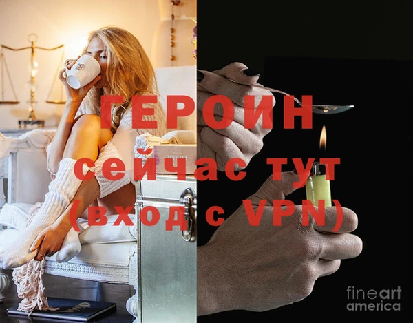 прущие грибы Бородино