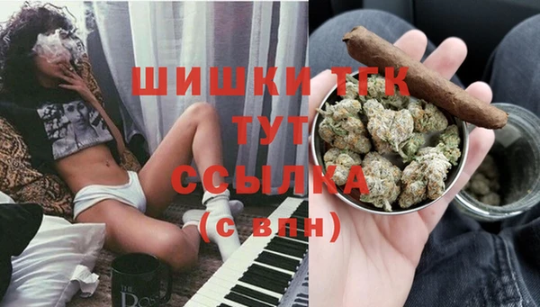 тгк Бронницы