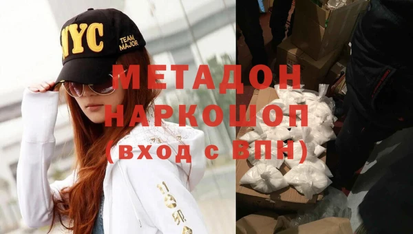 прущие грибы Бородино