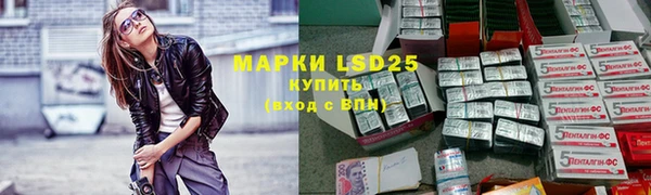 прущие грибы Бородино