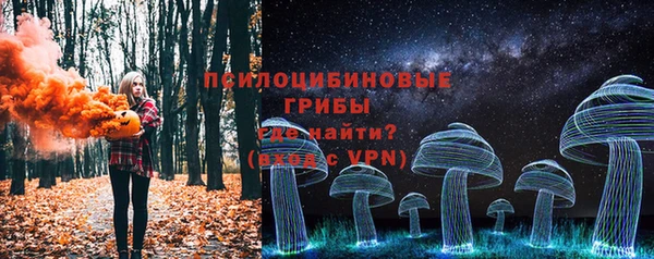 прущие грибы Бородино