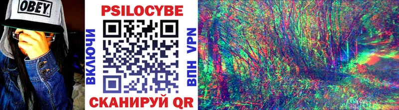 Псилоцибиновые грибы Cubensis Богданович